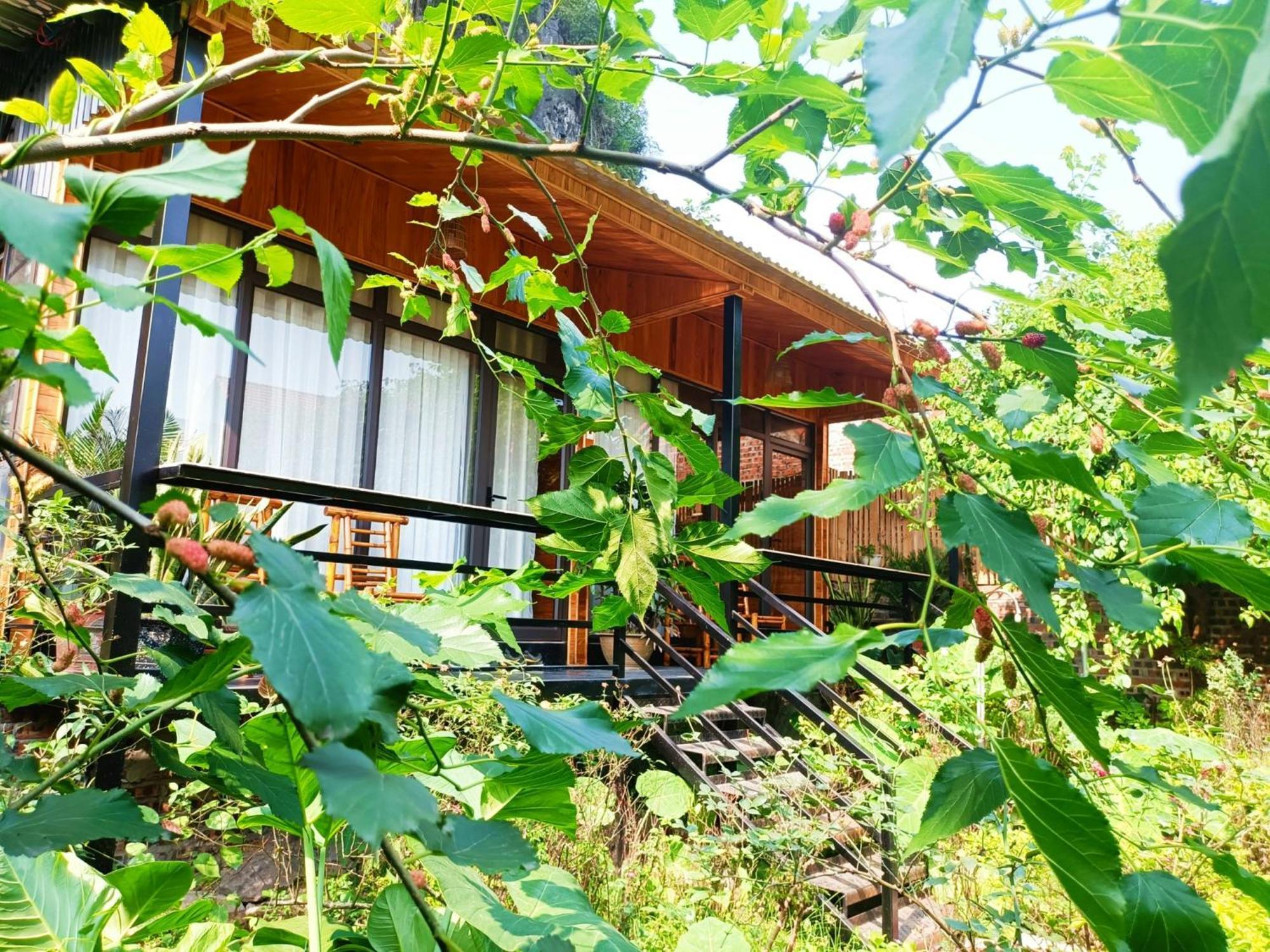Tam Coc Sunshine Homestay Нин Бин Екстериор снимка