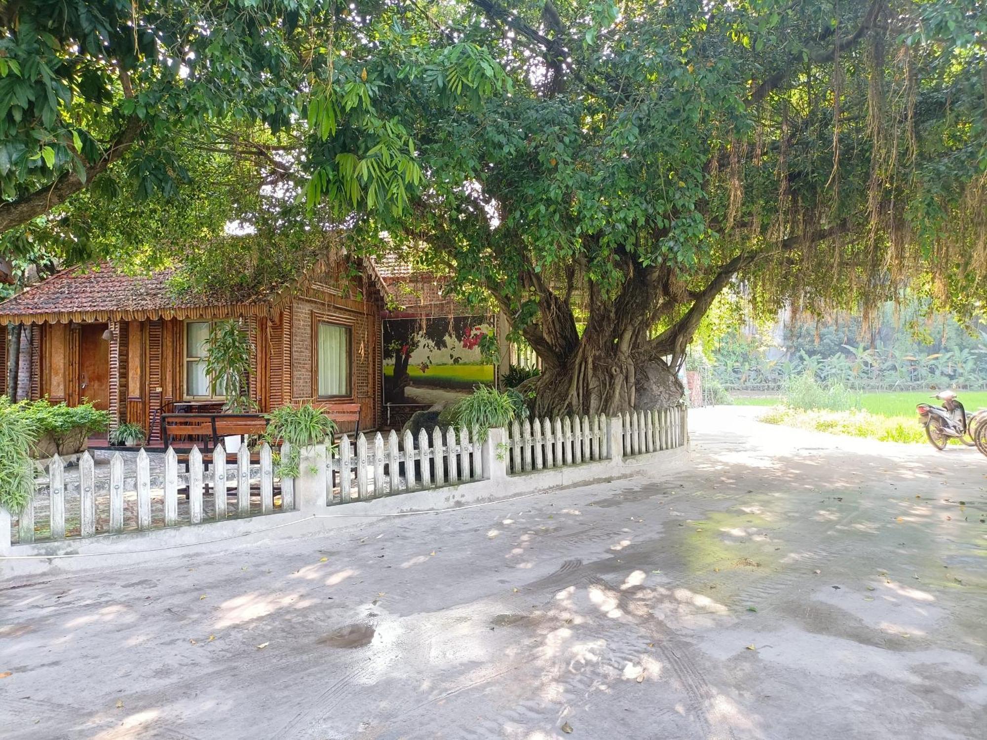 Tam Coc Sunshine Homestay Нин Бин Екстериор снимка