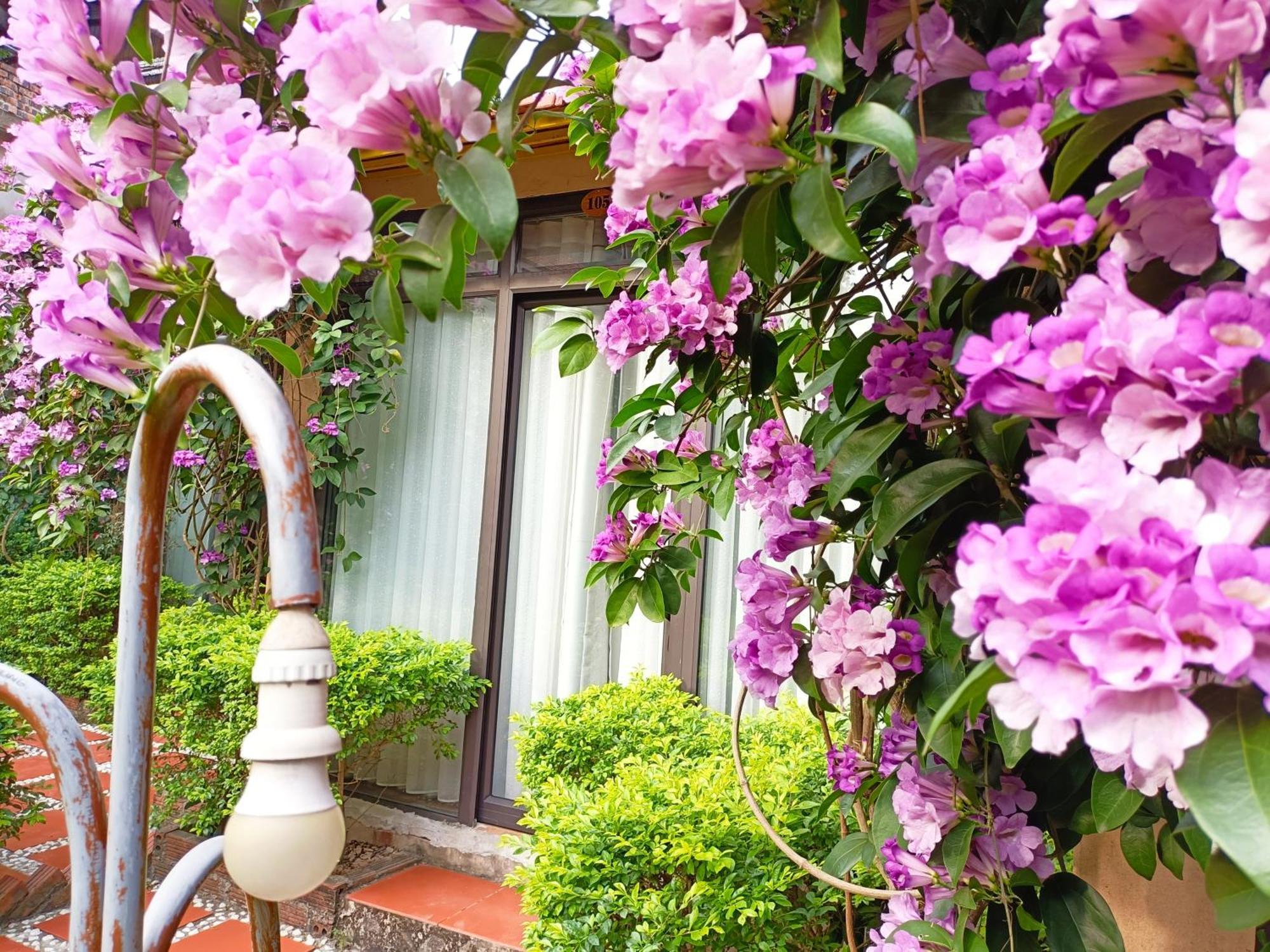 Tam Coc Sunshine Homestay Нин Бин Екстериор снимка