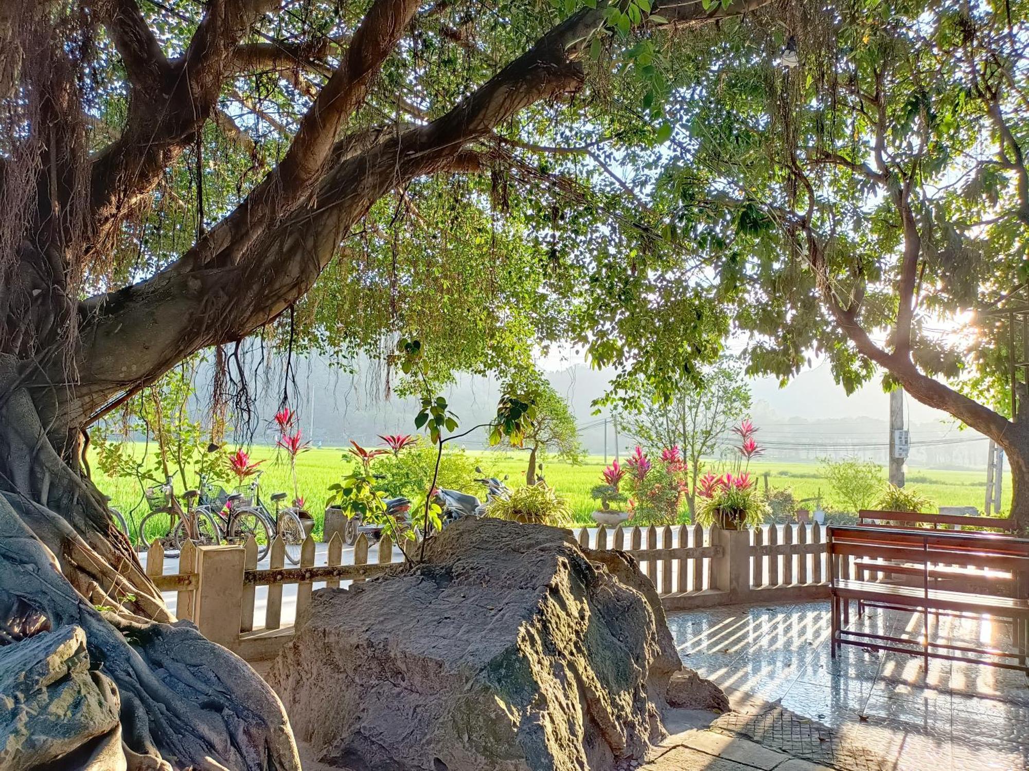 Tam Coc Sunshine Homestay Нин Бин Екстериор снимка