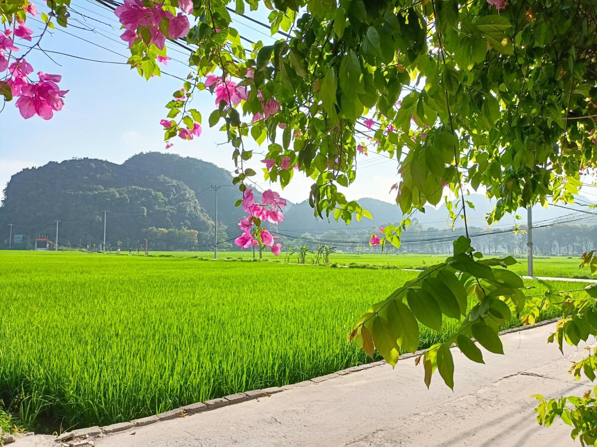 Tam Coc Sunshine Homestay Нин Бин Екстериор снимка