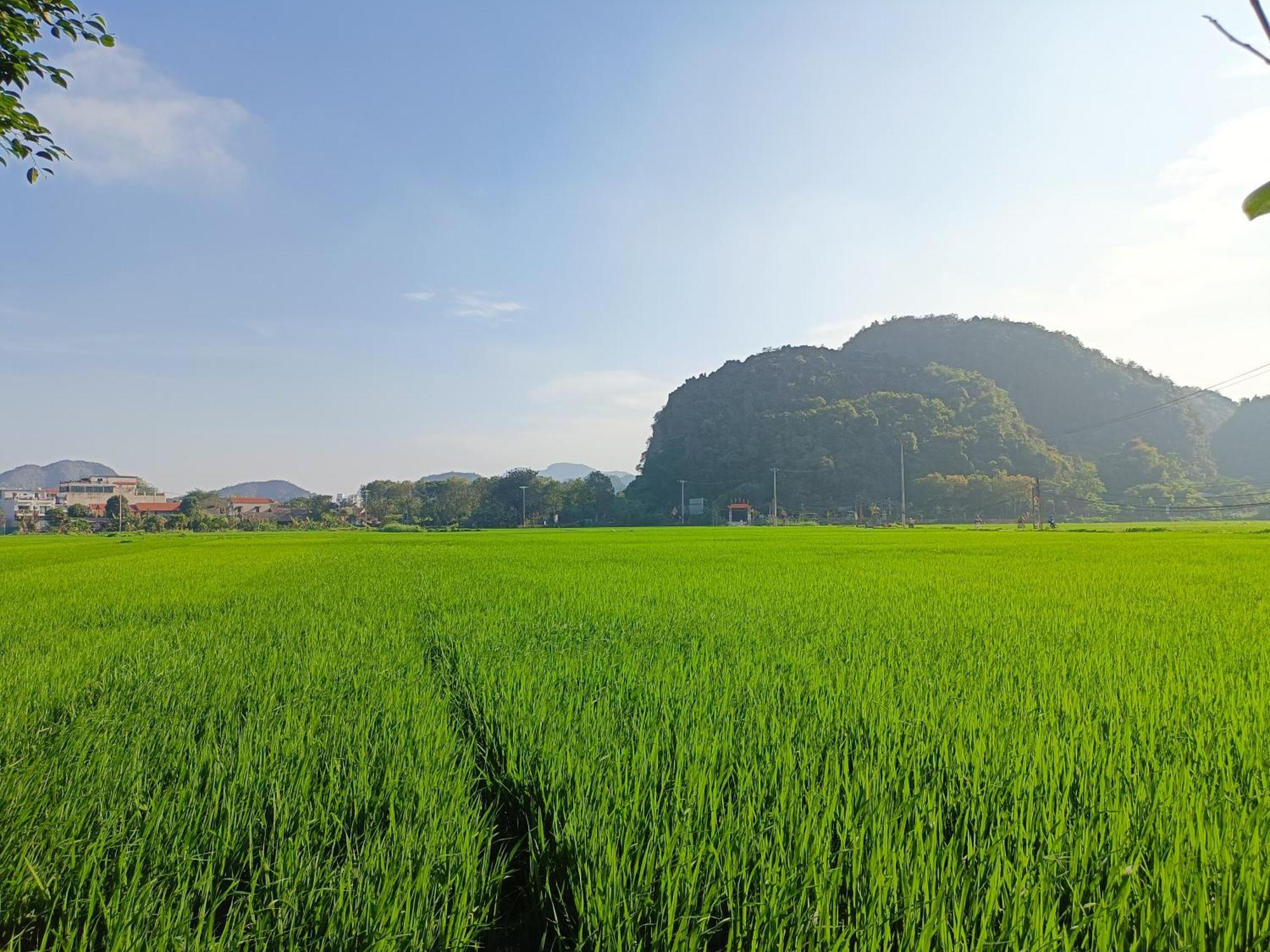 Tam Coc Sunshine Homestay Нин Бин Екстериор снимка